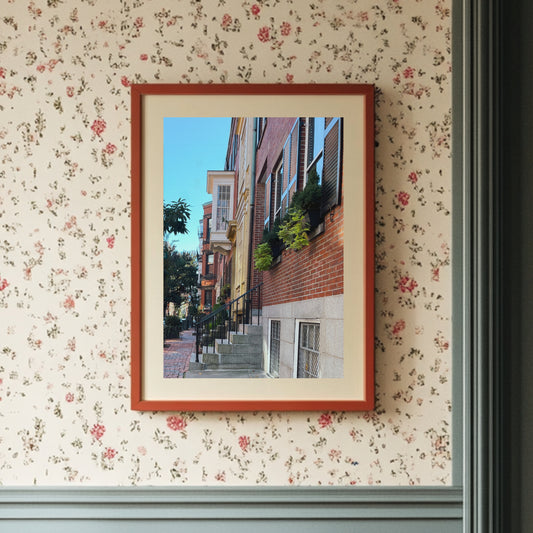 Beacon Hill Window Boxes Travel Photography Fine Art Print